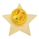 2023 Gold Star Pin Back View