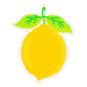 Lemon Custom Acrylic  Magnet