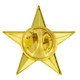 3D Star Pin Gold Back