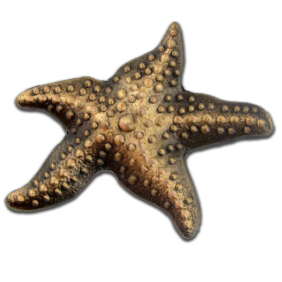 Starfish Lapel Pin With Story Card - Make A Difference Gift For Teachers, Nurses, Caregivers