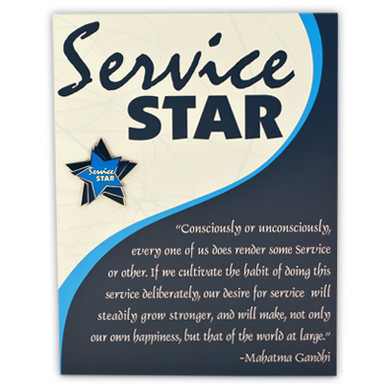Service Star Card and Pin | PinMart