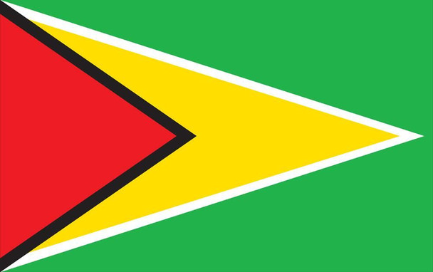 Guyana World Flags - Nylon  - 2' x 3' to 5' x 8'