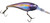 Wiggle Shad 7 UV Alewife