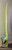 6'8" TBC "Hammerhead" 42.9L Used Surfboard #42378