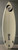 5’10” Rumaner “Annihilator” 26.0L Used Surfboard #46407