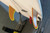 6'7" Lost "RNF King Fish" 41.8L Used Surfboard #47603