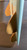 6’0" Mccallum Used Surfboard #48216