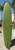 9’6" George Surfboards Used Surfboard #48494