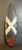 5’5" Album “Bom Dia Asym-Regular” 25.3L Used Surfboard #49198