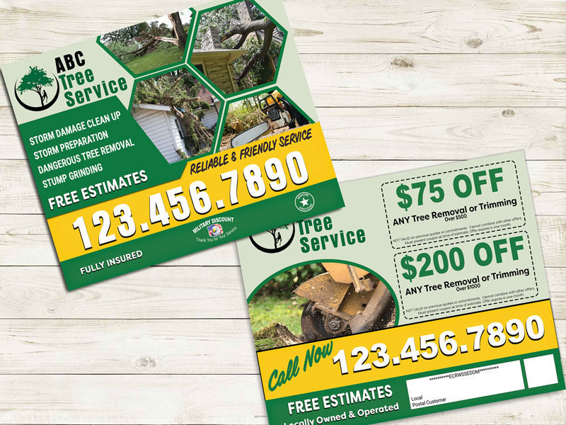 Mail this tree service eddm postcard to storm damaged areas after a hurricane, tornado, etc.