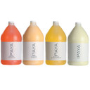 PAYA Bath & Body Care 4-jug set in 1 gal citrus-labeled bottles for bulk refill