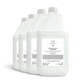 Zents Mandarin Shampoo, case of 4