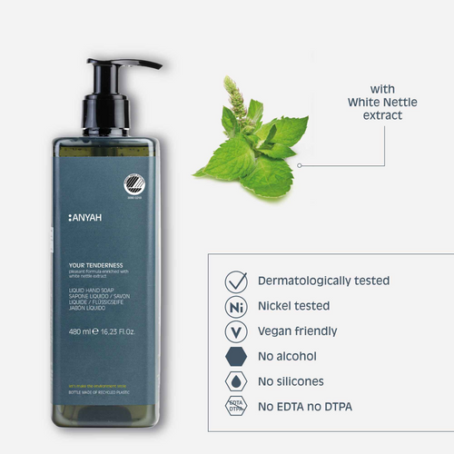 Vegan Nordic Ecolabel certified liquid hand soap in 16.2 oz refillable format