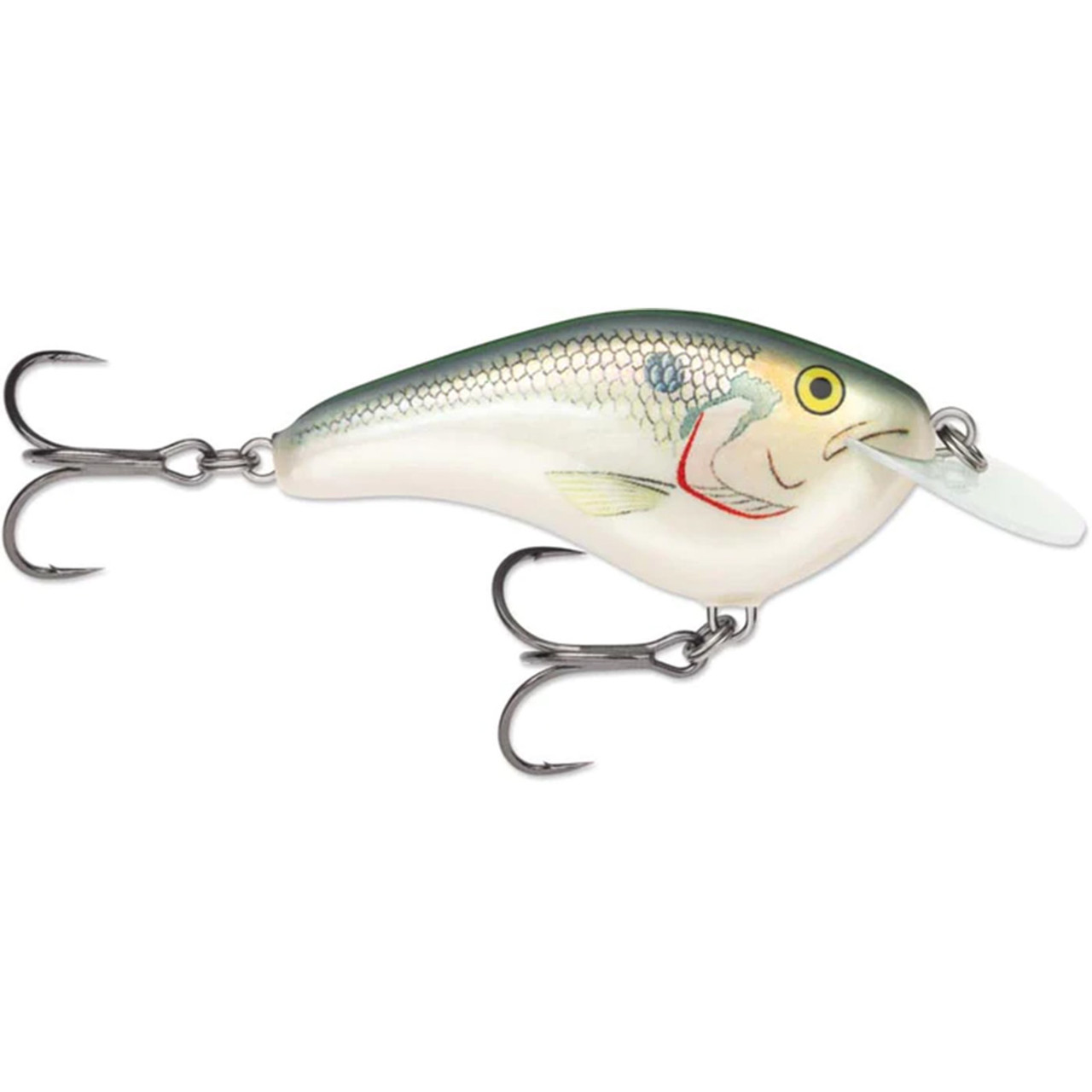 Rapala OG Slim 06 Medium Diving Flat-Sided Crankbait Shad - Fin Feather Fur  Outfitters