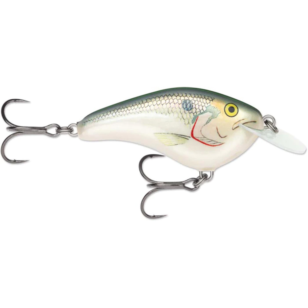 Rapala OG Slim 06 Medium Diving Flat-Sided Crankbait Shad - Fin