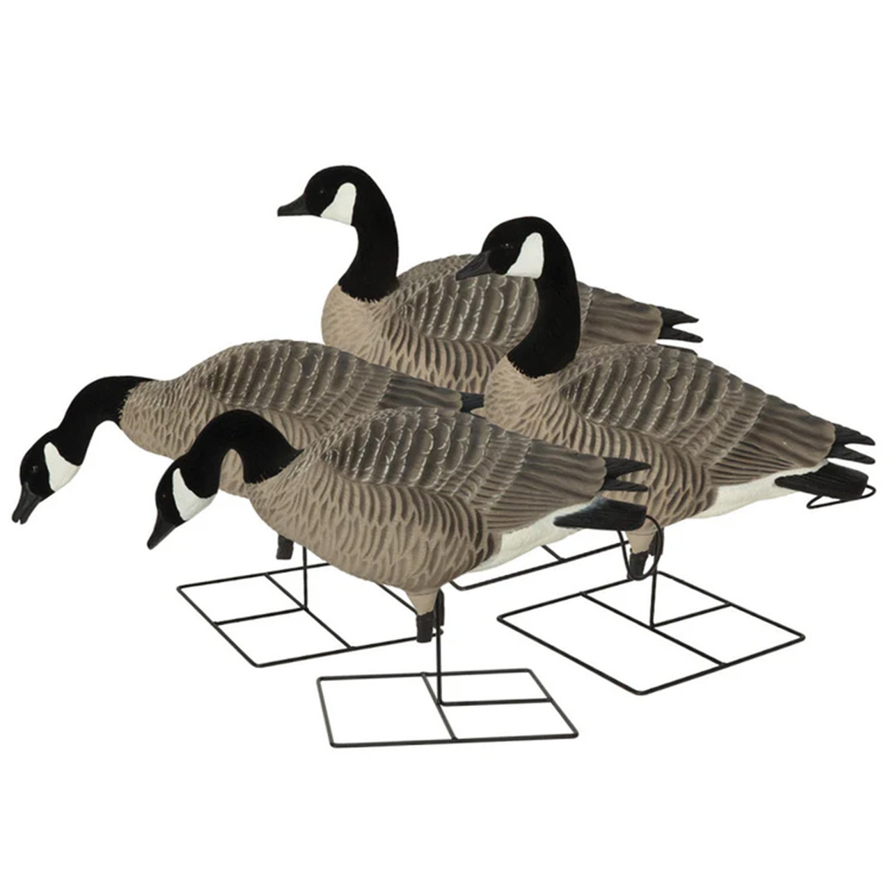 Avery GHG XD Series Honkers