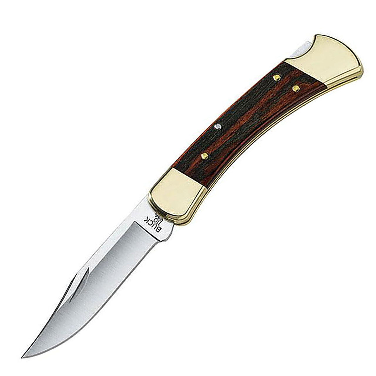 Buck 0110BRS-B Folding Hunting Knife 3.75