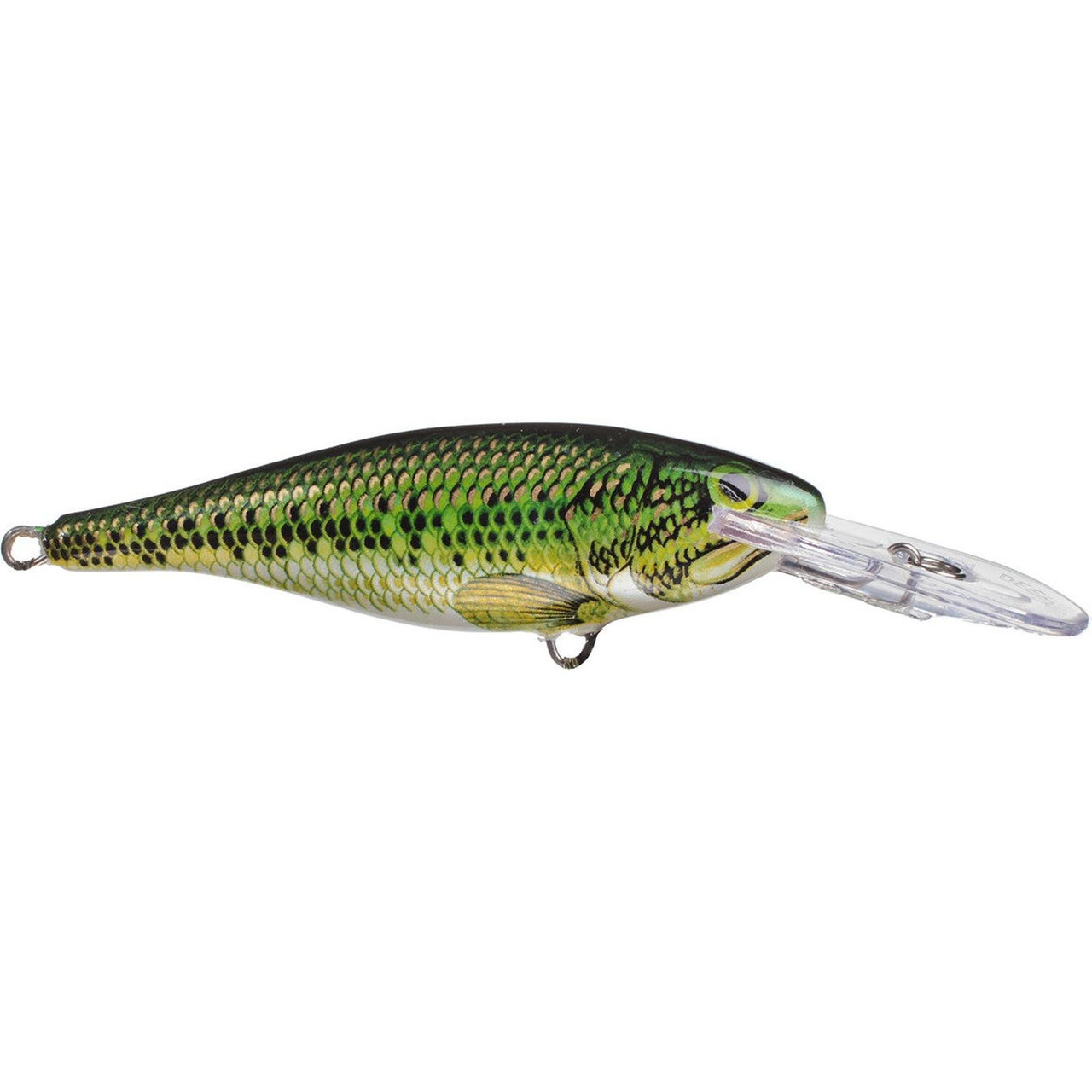 Rapala Shad Rap, 07 Bleeding Olive Flash