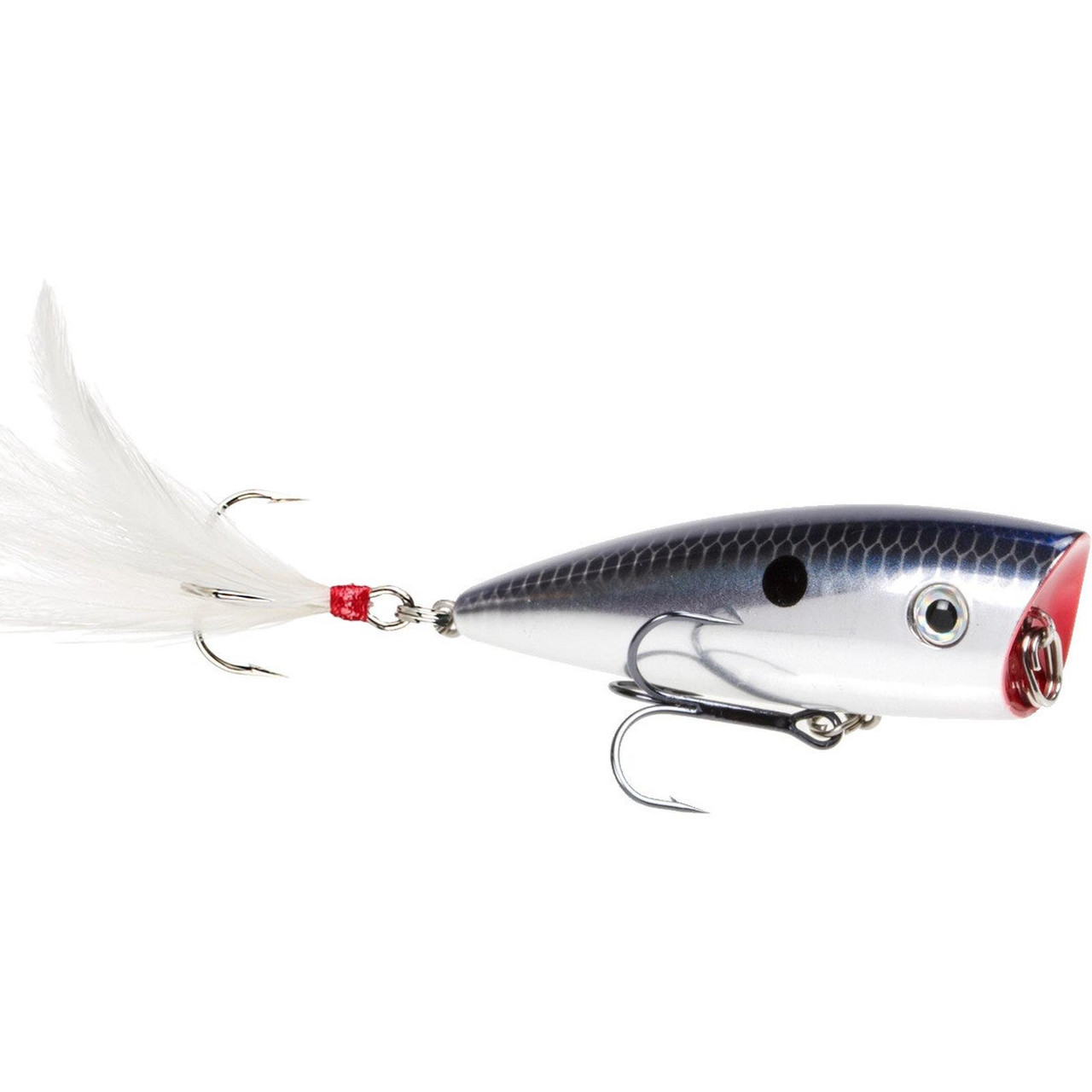 Strike king hc kvd splash popper Clearance