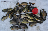BEGINNERS GUIDE TO ICE FISHING FOR PANFISH