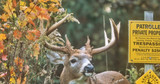 Do Non-Resident Deer Hunters Impact Our Hunting Here in Ohio?