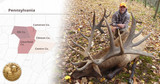 PA Elk MECCA For Hunters & Tourism -  Elk Hunting Application $11.97