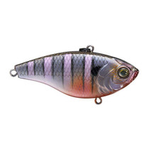 6th Sense Duke 65 BLUEGILL SPAWN