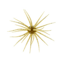 Hideup Coike JDM 17mm Creature Bait 1PK Watermelon Seed