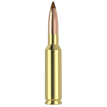 Nosler 61053 6.5x55Swedish 140gr Ballistic Tip 20 Per Box/10 Case