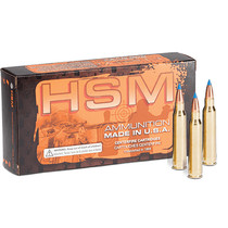 HSM 204R3N 204Ruger 32gr BlitzKing 20 Per Box/20 Case