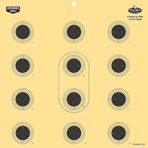 Birchwood Casey Dirty Bird 12" 10 Meter Air Rifle - 12 Targets