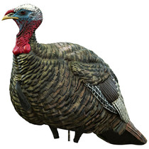 Avian-X LCD Quarter Strut Jake Turkey Decoy