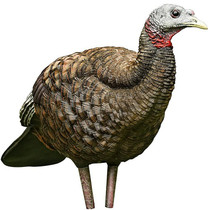 Avian-X LCD Breeder Hen Turkey Decoy