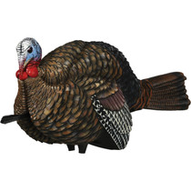 Avian-X LCD 1/2 Strut Jake Turkey Decoy