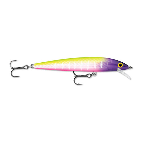 Rapala Husky Jerk 10 Jerkbait/Trolling Minnow 4" 3/8Oz Moldy Fruit