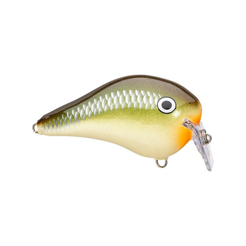 Rapala DT Fat Crankbaits - Fin Feather Fur Outfitters