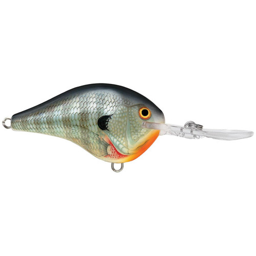 Rapala DT Series Crankbaits