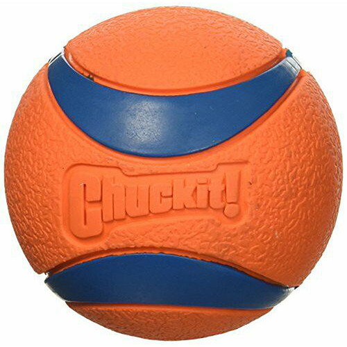 chuckit squeaker ball large