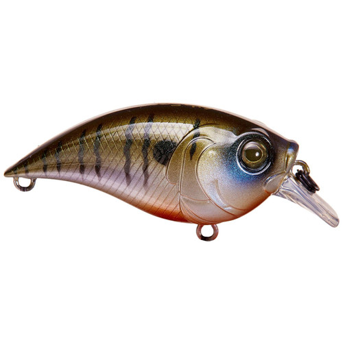 Rebel Bluegill Squarebill Crankbaits - Fin Feather Fur Outfitters