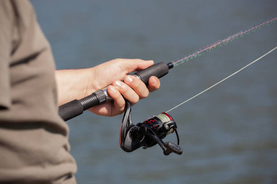 What Fishing Line Is Best For Bass Fishing?