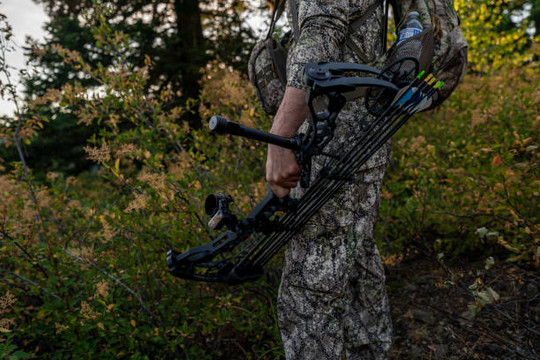 Compound Bows VS Crossbows What Is Better For You