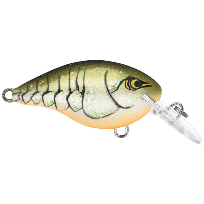 Rapala DT 10 (Dives-To) Crankbaits Big Shad