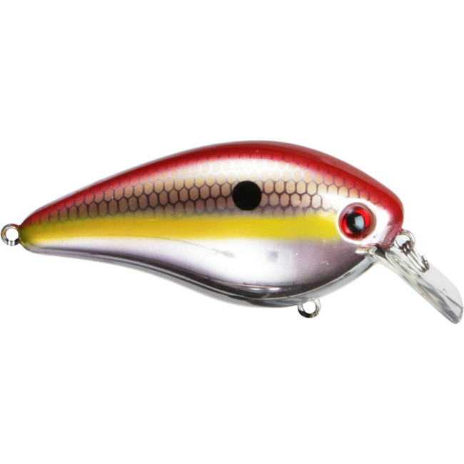 Strike King KVD 1.5 Square Bill Crankbait HCKVDS1.5-598 Chart. Shad