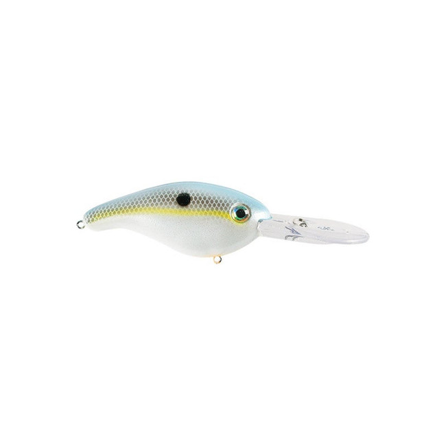 6XD / Summer Sexy Shad