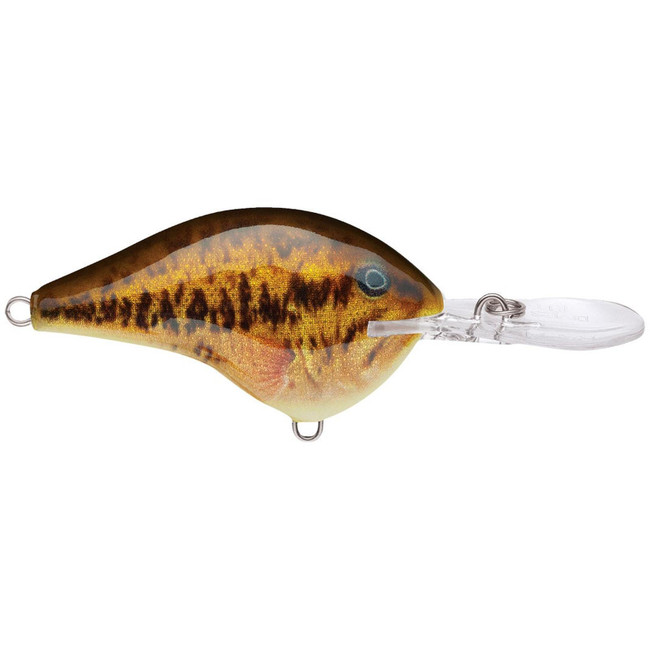 Rapala DT Dark Brown Crawdad 8