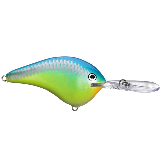 Rapala Dives-To 16 Series Parrot