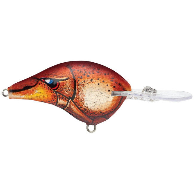 Rapala DT16 Crankbait 2.75 Fishing Lure 3/4oz Old School