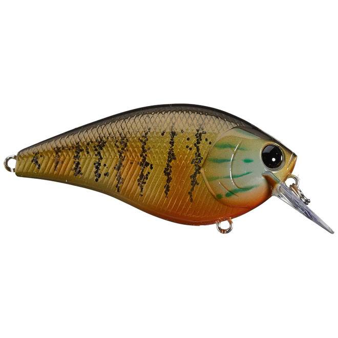 Lucky Craft LC Silent Squarebill 1.5 Gold Pumpkin Seed 1.5