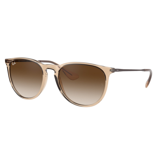 Ray-Ban Erika Brown Frame Brown Lens Polarized Standard