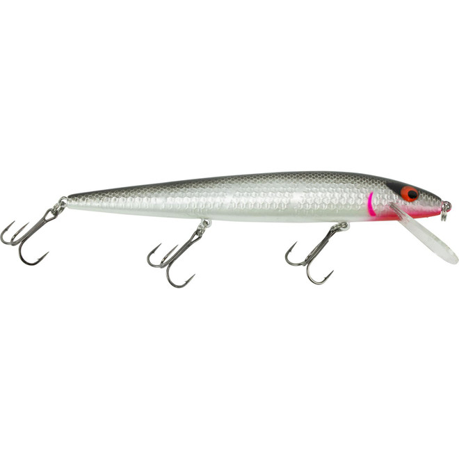 Smithwick Perfect 10 Rogue 5 1/2" Staple